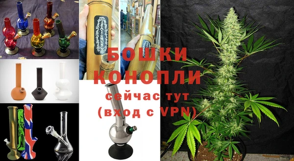 амф Вяземский
