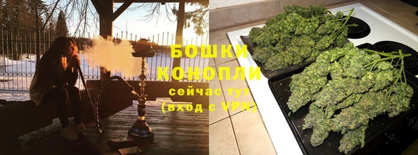 амф Вяземский