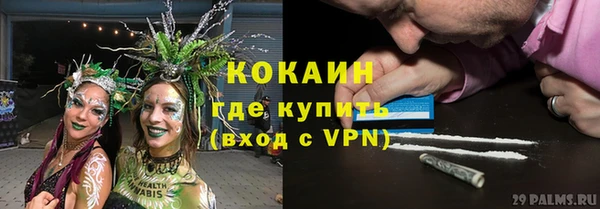 шишки Россошь