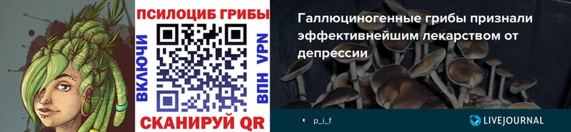 наркотики  Дальнегорск  Галлюциногенные грибы мухоморы 